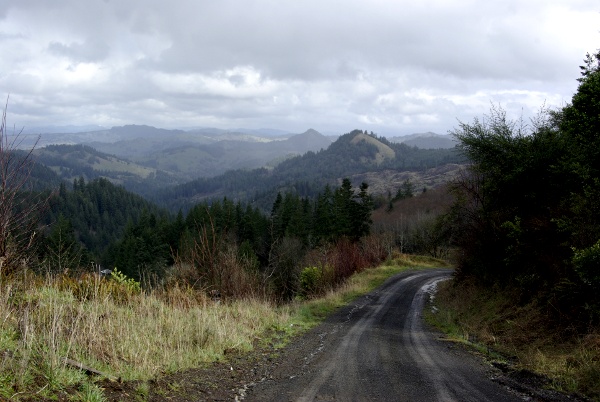 Dement Creek Road