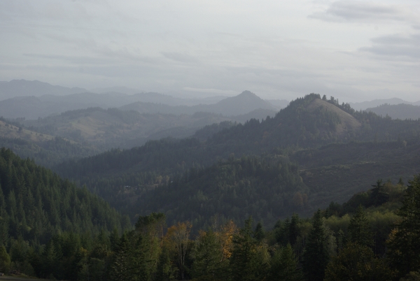 Fall on Chandler Ranch, 2013