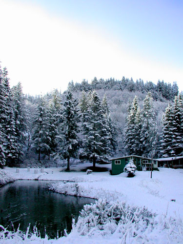 ranch house in snow