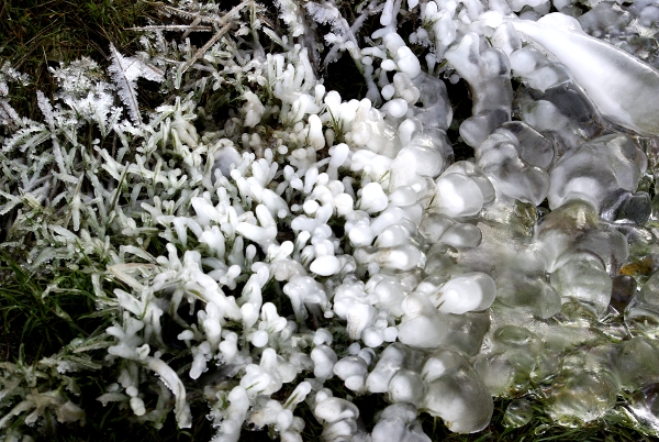 ice on pond