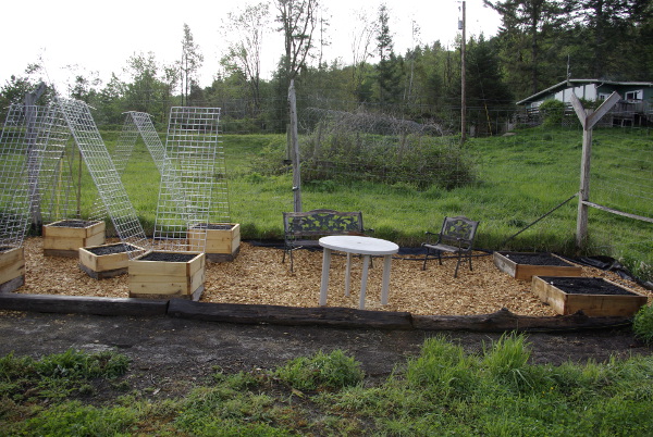 raised beds for squash