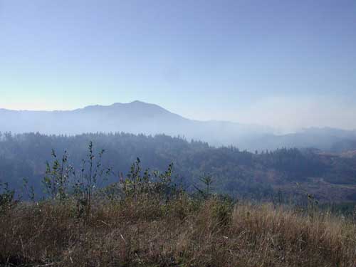 slash burn on Flores Creek