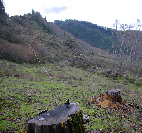 Stump and Yarder (little tower at the end of the line)